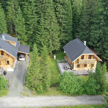 Almhaus & Almchalet Flattnitz Luaran gambar